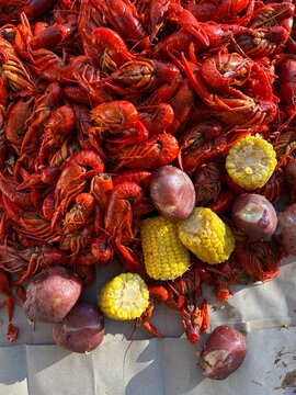 Crawfish Boil
