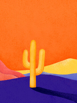Desert landscape with saguaro cactus at sunset