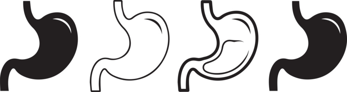 Stomach anatomy, medical organ, digestive system outline, medical healthcare icon.