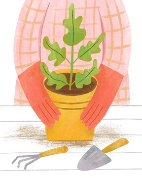 Gardening illustration set