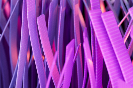 Magenta Linear Abstract Texture