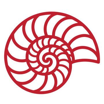 Red nautilus shell on white background, spiral