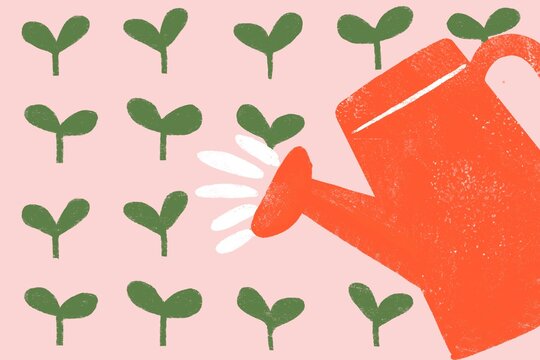 Gardening illustration