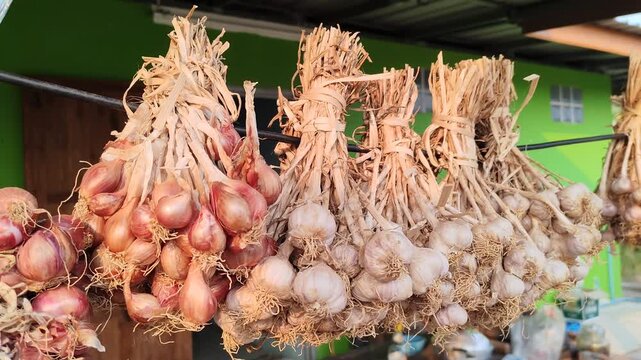 Fresh organic shallots and garlic bunches hanging on a rack in a local Asian market, traditional sun-drying process for culinary spices and herbal medicine ingredients.