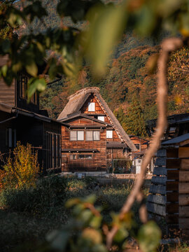 Shirakawa-go village gassho-zukuri house in autumn