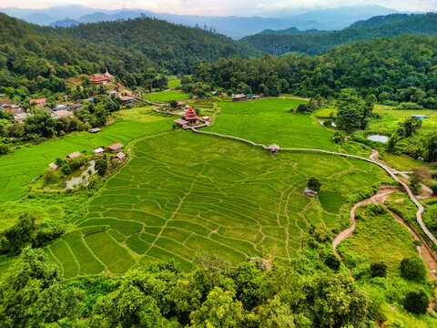 Aerial view of Kho Ku So Bamboo Bridge crossing vibrant green rice paddies surrounded by forested hills and mountains in Thung Yao, Mae Hong Son, Thailand.