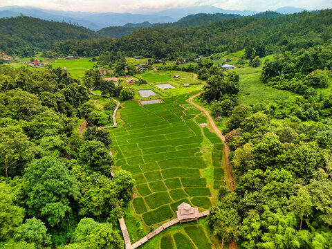 Aerial view of the Kho Ku So Bamboo Bridge stretching across vibrant green rice paddies surrounded by dense tropical forest and rolling hills in Thung Yao, Mae Hong Son, Thailand.