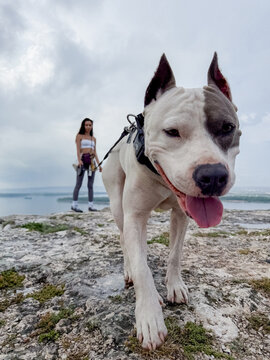 Walking With A Dog On Rocks With Beautiful View