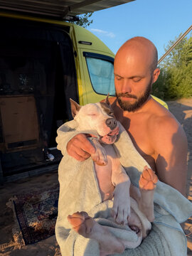 A Man Carefully Dries A Dog After Bathing