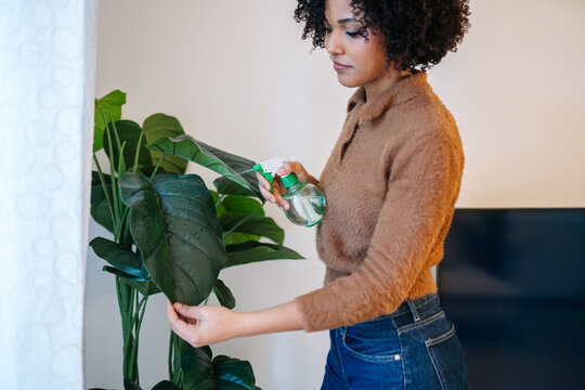 Person watering houseplant for home gardening hobby