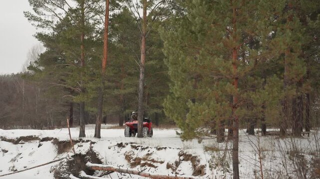 Red atv rider in snowy forest, ranger navigating pine trees beside frozen creek under overcast sky, gentle snowfall, deep tracks in soft snow, calm exploration mood, serene wilderness scenery