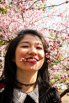 Cherry Blossom Bite