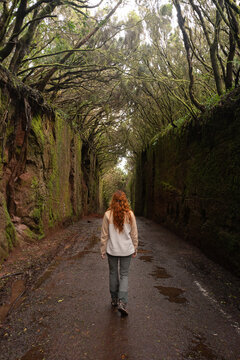 Hiker walking laurel forest tunnel Anaga