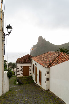 Rural street in north Tenerife