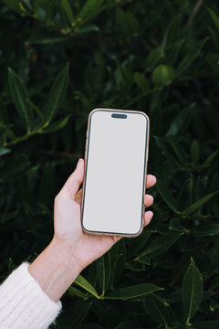 iPhone mock up against green bush.
