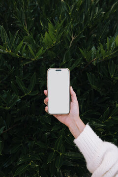 iPhone mock up against green bush.