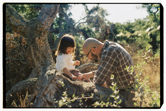 Father showing daughter details on oak bark