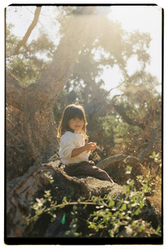 Child sitting on oak tree in warm sunlight