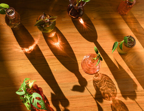 Sunlit Propagations on Wooden Table