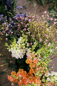 close up of buckets filled with harvested flowers in florist studio