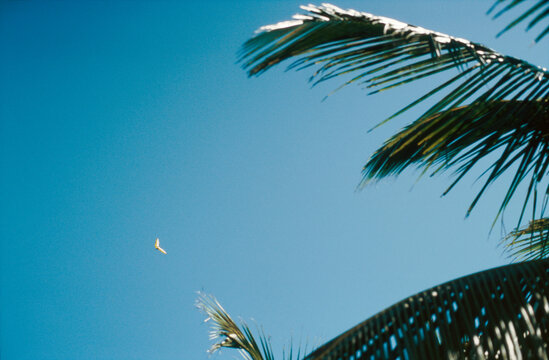 Hang Glider in Blue Sky