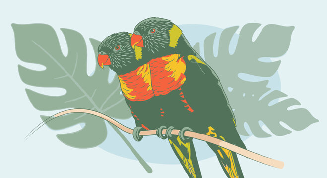 Two colorful parrots on branch together.