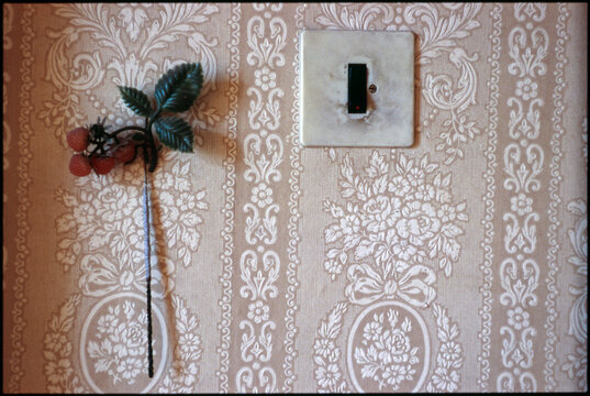 Plastic decoration and old light switch in front of a decorated 