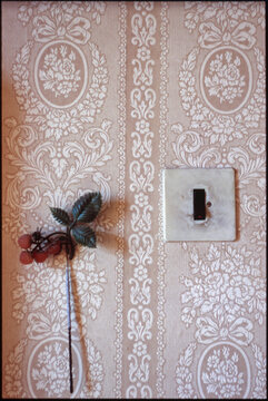 Plastic decoration and old light switch in front of a decorated 