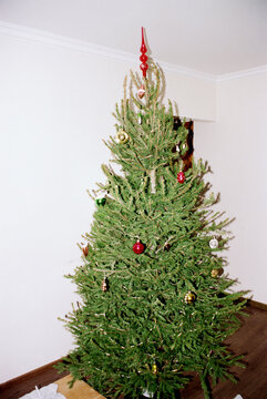 
Decorated Real Christmas Tree With Red Topper, Film Photo