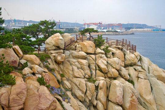 Cliff Overlook Above Ulsan Harbor