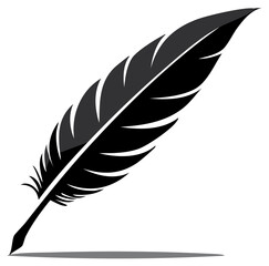 Fototapeta premium Stylized Black Feather Illustration - Writing Quill Detail for Creative Projects and Designs