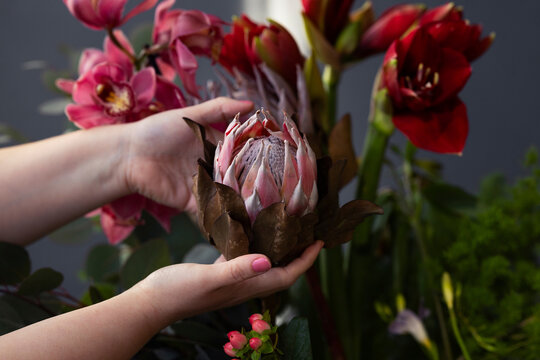 Hands Holding Protea in Floral Bouquet Arrangement
