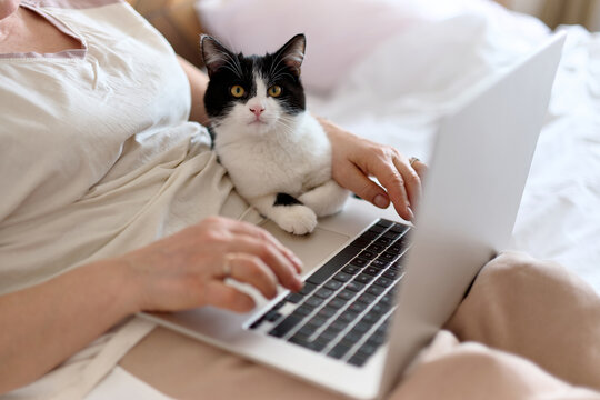 Cute Cat Sitting on Laptop While Woman Works