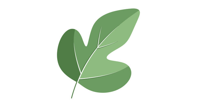 Single green leaf with multiple lobes and visible veins