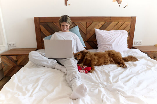Dog Resting Beside Woman Working on Laptop