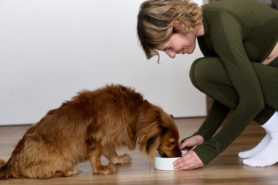 Woman Feeding Dog at Home Kitchen