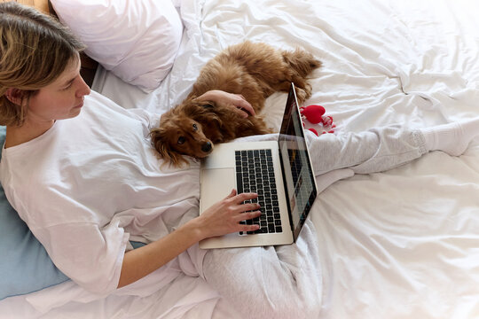 Woman Using Laptop in Bed with Pet Dog