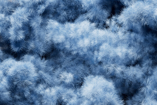 Dense Blue Fibrous Texture Background