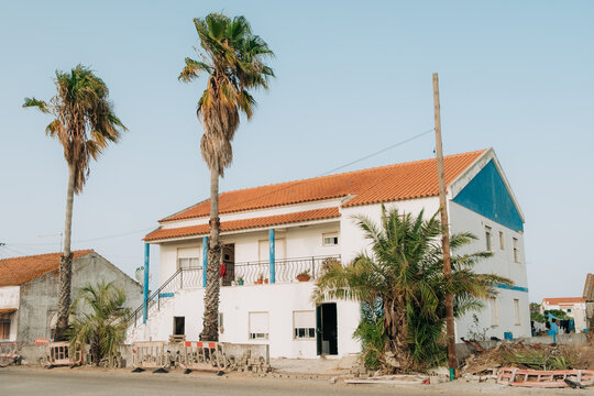 Traditional Coastal House with Palm Trees in Portugal