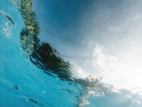 Underwater view of a wave