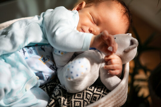 Sleeping Newborn Baby Cuddling Soft Teddy In Basket