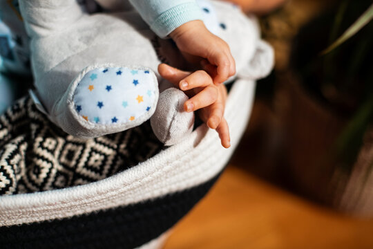 Cozy Baby Hand Resting on Plush Toy in Basket