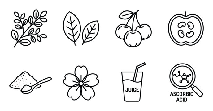 Elderberry fruit components and ascorbic acid molecule with juice and powder ingredients.
