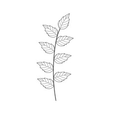 Mint leaf line art. Herbal mint leaf vector. Mint leaf illustration. Hand-drawn mint leaf  © Rsi_Design