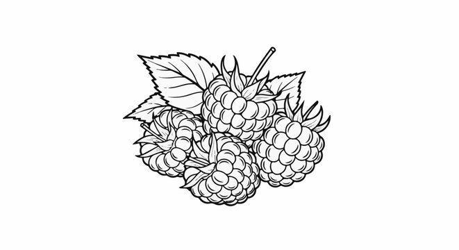 A cluster of ripe raspberries with detailed leaves