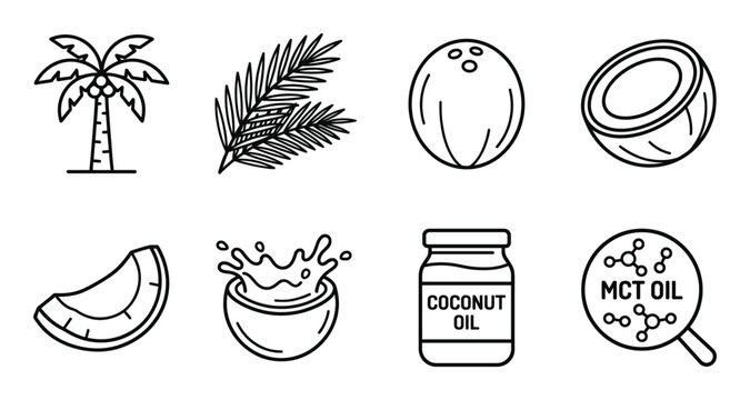 Palm tree, leaf, coconut, half coconut, slice, splash, jar and mct oil molecule.