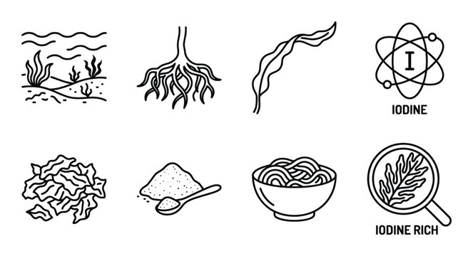 Seaweed iodine richness natural element atomic structure underwater plant food rich source illustration.