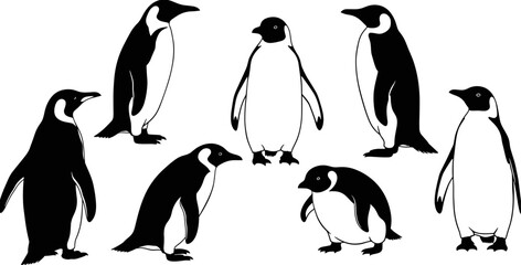 Penguin silhouette collection, Antarctic wildlife bird icons, emperor penguin vector set, black and white animals, flightless birds, isolated nature illustrations. © Ahsan