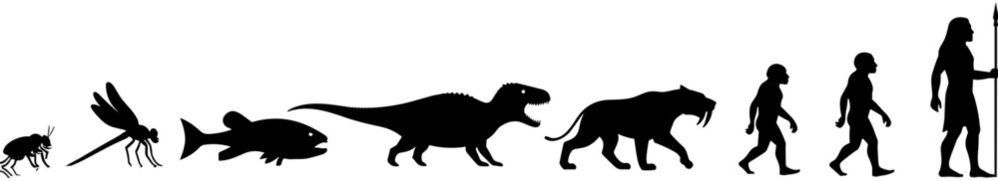 Black vector silhouettes illustrating the evolution of life from primitive insects and fish to dinosaurs mammals and early human ancestors,
