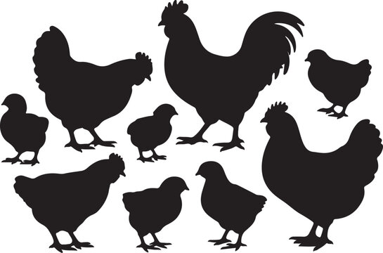 Collection of Black Chicken and Chick Silhouettes Vector Illustration &ndash; Farm Poultry Clipart Set